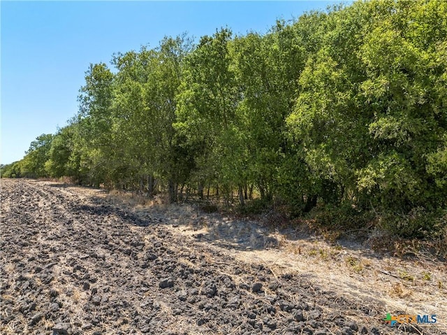 TBD/-12.5ACRES T M W Pkwy, West, TX 76691 - photo 5