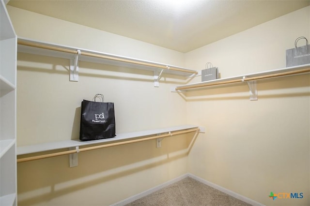 spacious closet with carpet floors