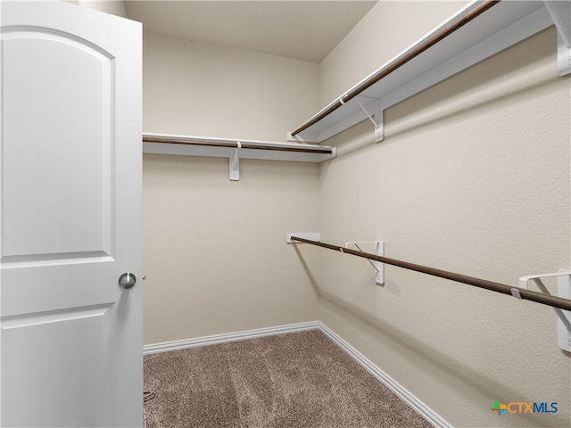 515 Secluded Grv, San Antonio, TX 78253 - spacious closet with carpet flooring