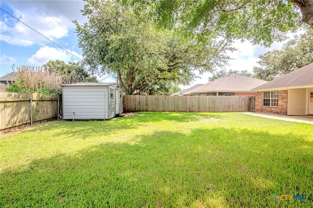 view of yard featuring a storage shed