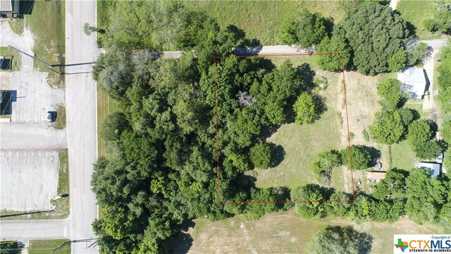 0 Farmer St, Lockhart, TX 78648 - photo 3