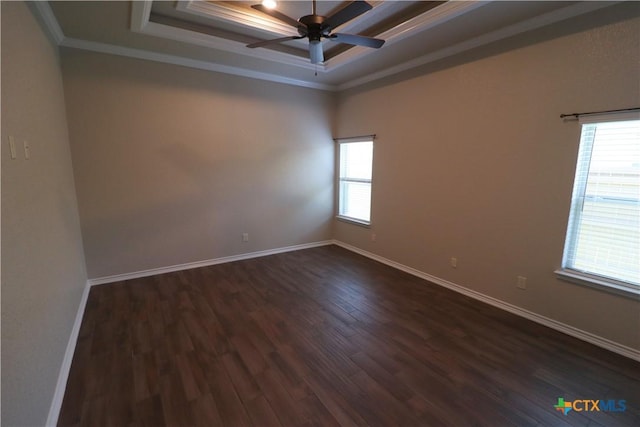 spare room with a tray ceiling, plenty of natural light, dark wood-type flooring, ornamental molding, and ceiling fan