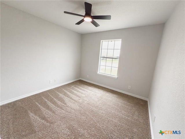 305 Rowdy Dr, Killeen, TX 76542 - photo 25