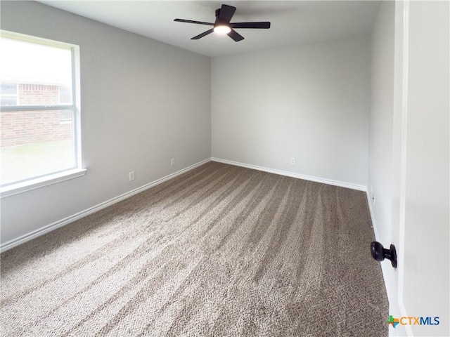 305 Rowdy Dr, Killeen, TX 76542 - photo 26