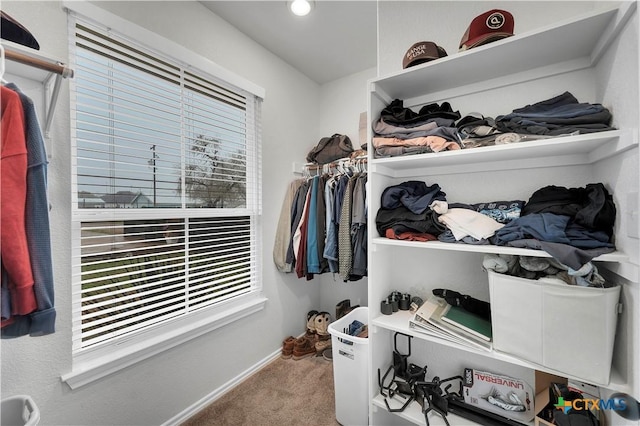 spacious closet featuring carpet flooring