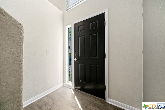 foyer entrance featuring wood-type flooring