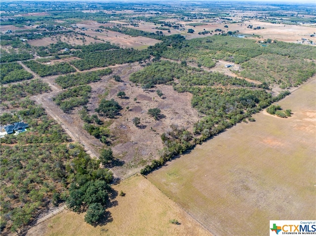 Listing photo 2 for TBD Felix Rd, Saint Hedwig TX 78152