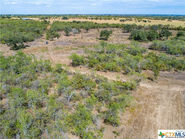 Listing photo 3 for TBD Felix Rd, Saint Hedwig TX 78152