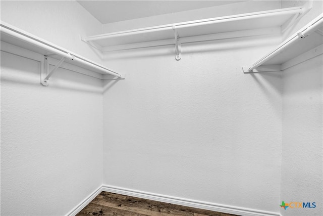 2316 Schwertner Dr, Killeen, TX 76543 - spacious closet with dark wood-style floors