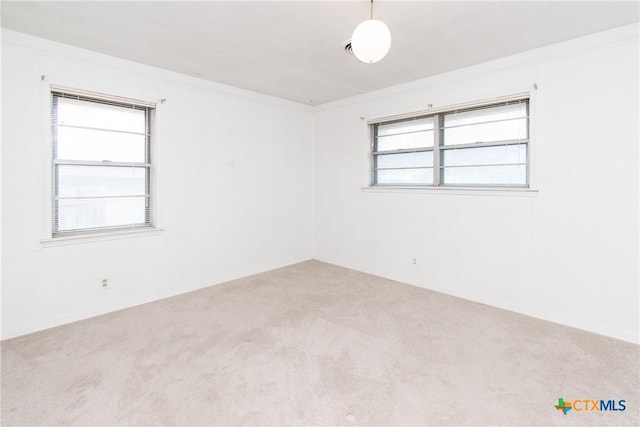 spare room featuring carpet floors and crown molding