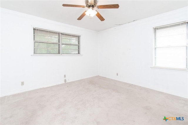 spare room with ceiling fan, ornamental molding, and carpet flooring