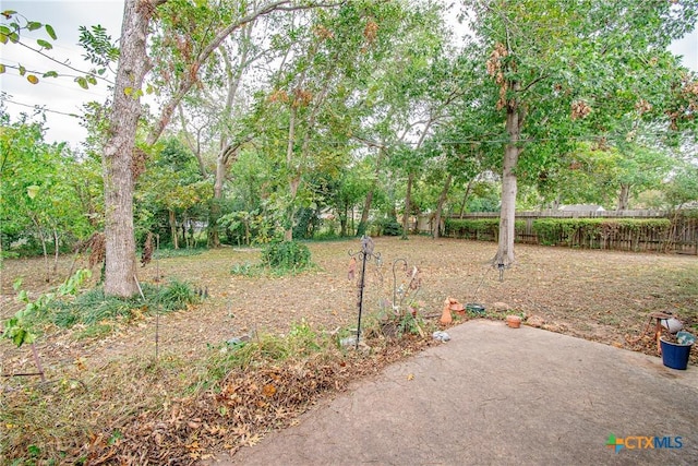 view of yard featuring a patio area