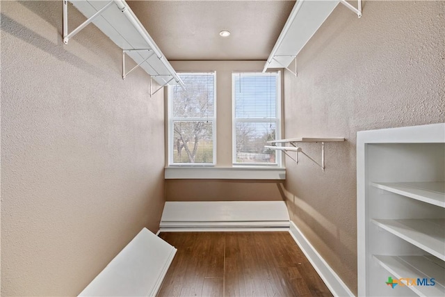 spacious closet featuring wood-type flooring