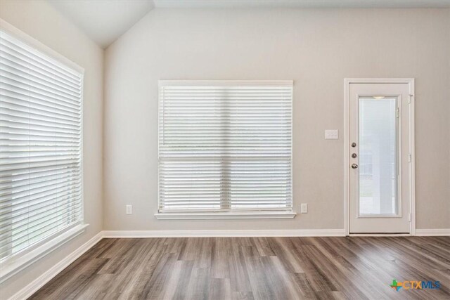1202 Amber Dawn Dr, Temple, TX 76502 - entryway featuring wood finished floors, healthy amount of natural light, and lofted ceiling