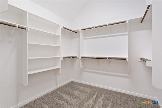 1202 Amber Dawn Dr, Temple, TX 76502 - walk in closet with carpet