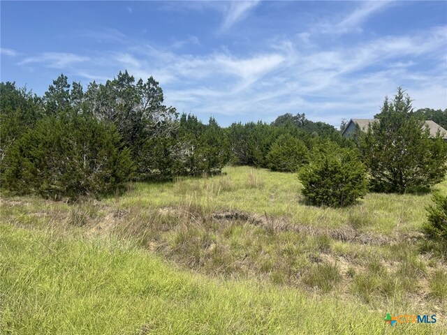 1809 Desiree St, Canyon Lake, TX 78133 - photo 8