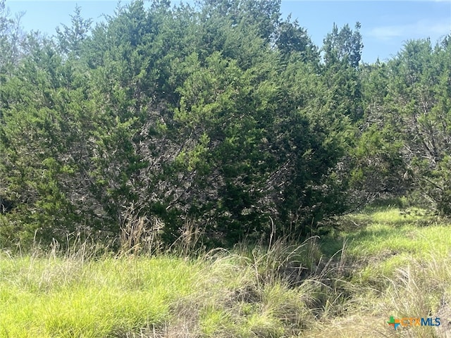 1809 Desiree St, Canyon Lake, TX 78133 - photo 6