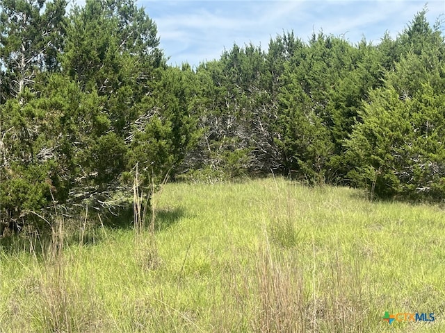 1809 Desiree St, Canyon Lake, TX 78133 - photo 4