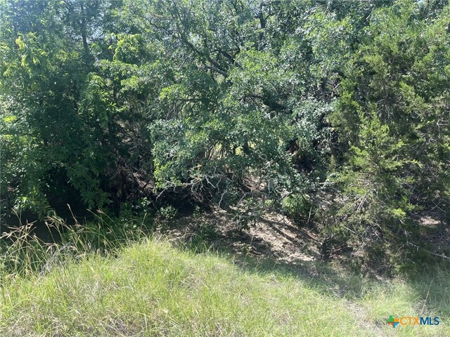 1809 Desiree St, Canyon Lake, TX 78133 - photo 5