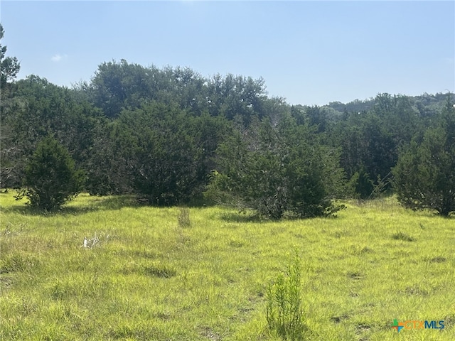 1809 Desiree St, Canyon Lake, TX 78133 - photo 2