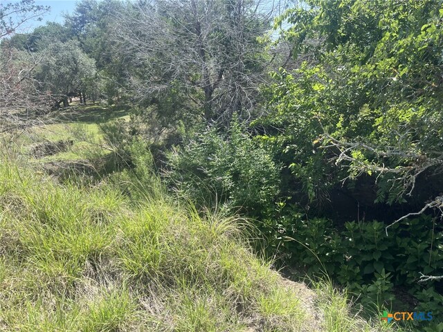 1809 Desiree St, Canyon Lake, TX 78133 - photo 7