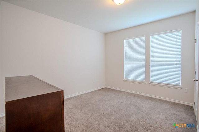 spare room with plenty of natural light, carpet flooring, and baseboards
