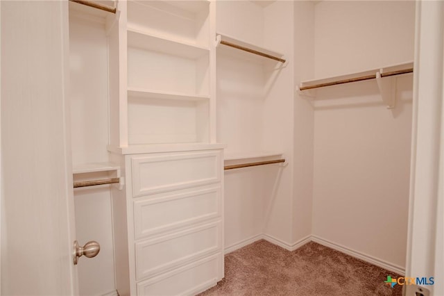 spacious closet with light carpet