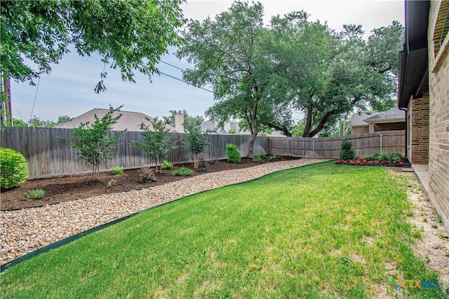 2904 Torino Reale Ave, Temple, TX 76502 - view of yard