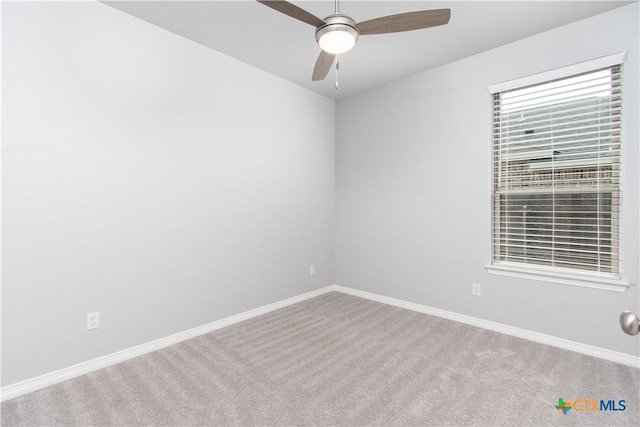 2904 Torino Reale Ave, Temple, TX 76502 - empty room with carpet, ceiling fan, and baseboards