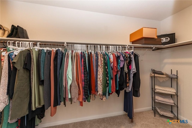 walk in closet featuring carpet