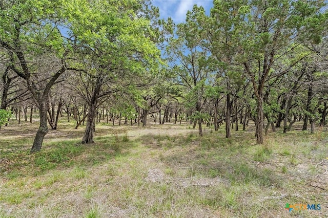 000 Moonridge Ln, Wimberley, TX 78676