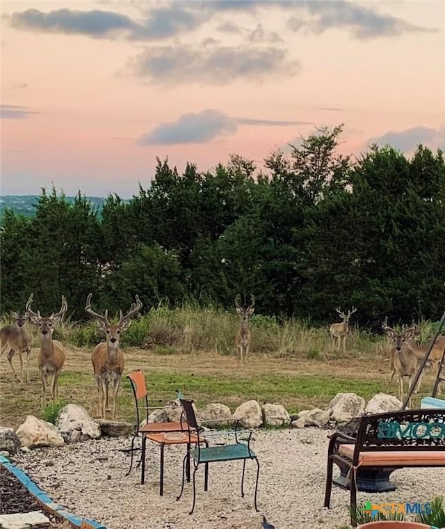 view of yard at dusk