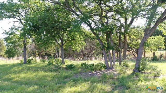 612 Crestwood Dr, Killeen, TX 76549