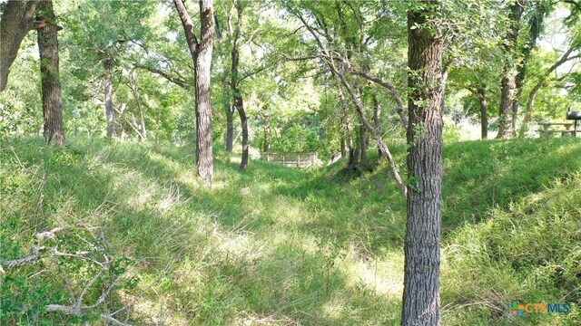 612 Crestwood Dr, Killeen, TX 76549