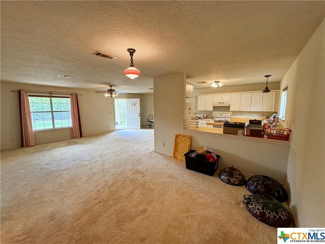 21 Anderson Ln, Coldspring, TX 77331 - living room featuring carpet floors, a textured ceiling, and ceiling fan