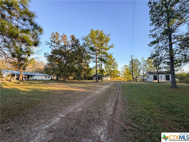 21 Anderson Ln, Coldspring, TX 77331 - view of dirt / gravel driveway