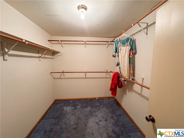 spacious closet featuring dark colored carpet