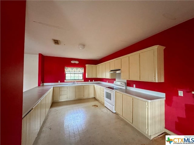 21 Anderson Ln, Coldspring, TX 77331 - kitchen featuring white electric range oven, light brown cabinets, under cabinet range hood, and a sink