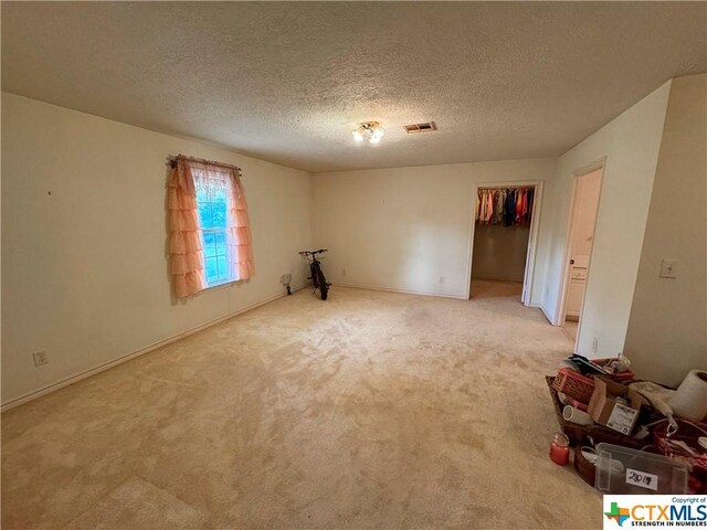 21 Anderson Ln, Coldspring, TX 77331 - spare room featuring light carpet, a textured ceiling, and baseboards