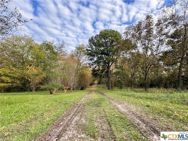 21 Anderson Ln, Coldspring, TX 77331 - view of street featuring a view of trees