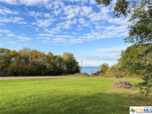 view of yard featuring a water view