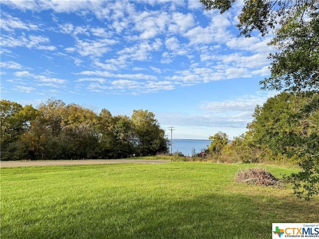 21 Anderson Ln, Coldspring, TX 77331 - view of green lawn