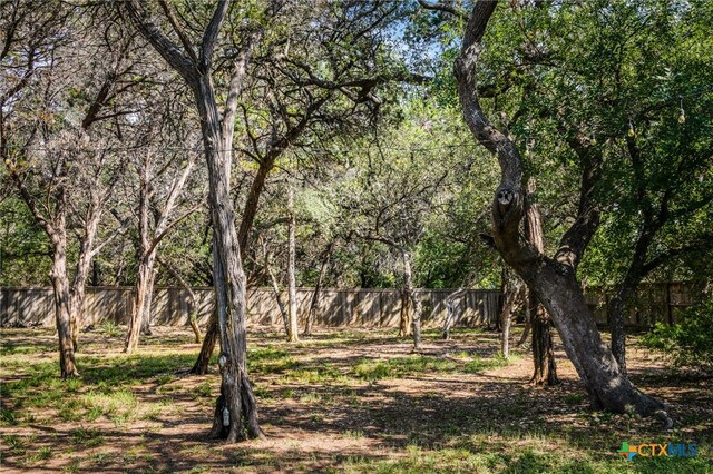 19530 Creekview Oaks, San Antonio, TX 78266 - view of nature