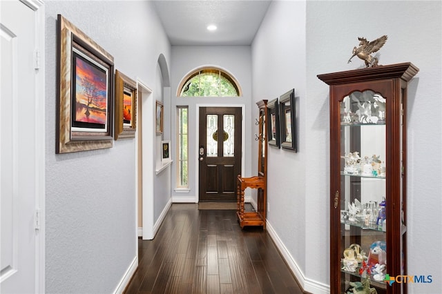 entrance foyer featuring dark hardwood / wood-style floors