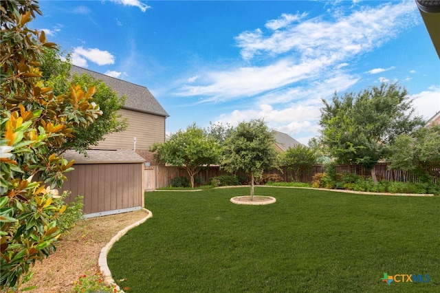 view of yard featuring a shed