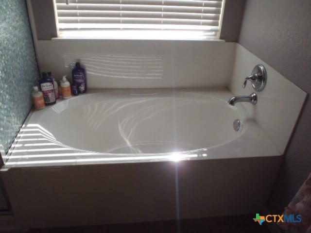 bathroom featuring a healthy amount of sunlight and a bath