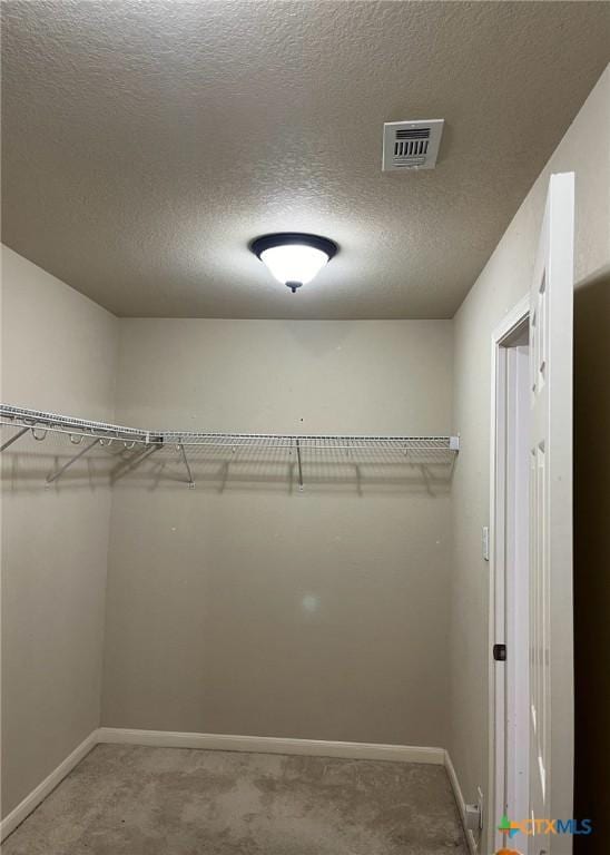 walk in closet featuring carpet floors