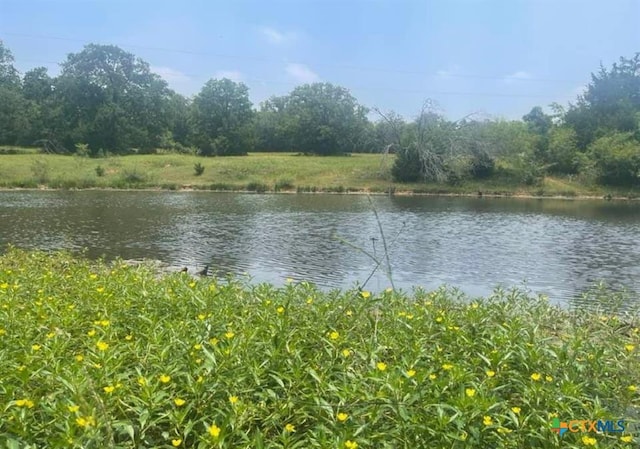 4514 County Road 328, Milano, TX 76556 - photo 6
