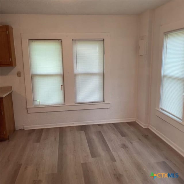 unfurnished dining area featuring light hardwood / wood-style floors