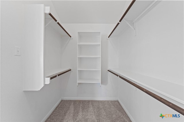 spacious closet with light carpet